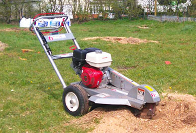 Stump Removal Service