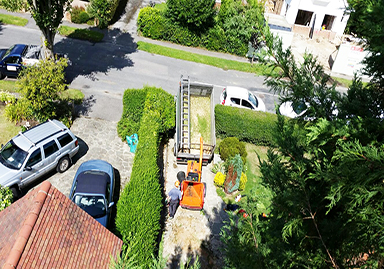Expert Tree Care